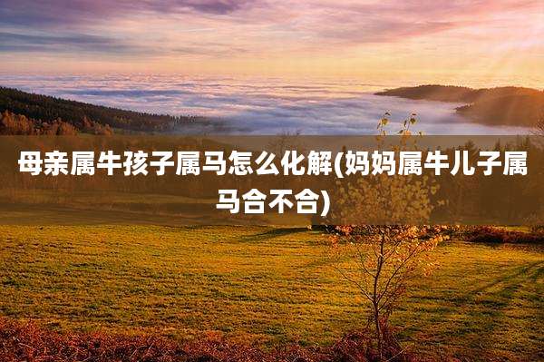 母亲属牛孩子属马怎么化解(妈妈属牛儿子属马合不合)