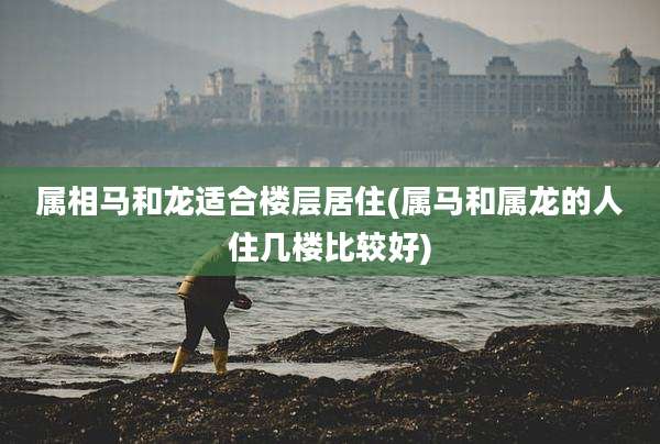 属相马和龙适合楼层居住(属马和属龙的人住几楼比较好)