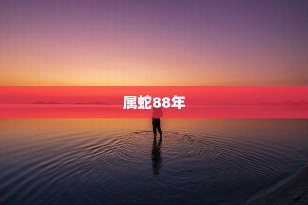 属蛇88年