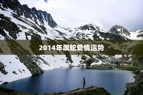 2014年属蛇爱情运势