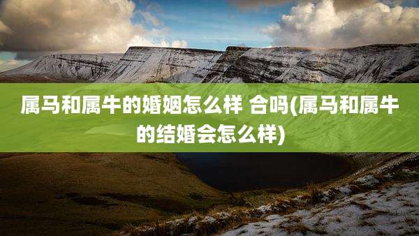 属马和属牛的婚姻怎么样 合吗(属马和属牛的结婚会怎么样)