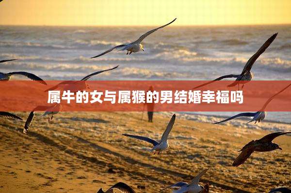 属牛的女与属猴的男结婚幸福吗