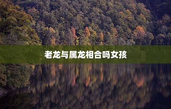 老龙与属龙相合吗女孩