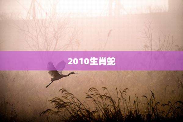 2010生肖蛇