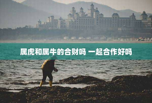 属虎和属牛的合财吗 一起合作好吗