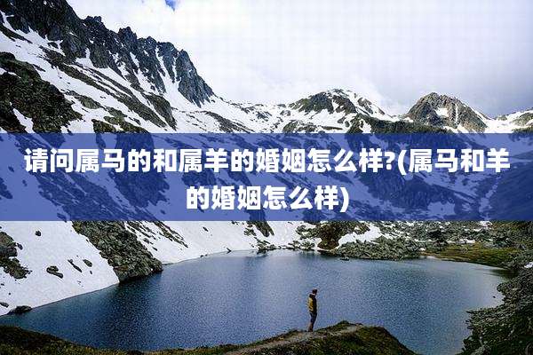 请问属马的和属羊的婚姻怎么样?(属马和羊的婚姻怎么样)