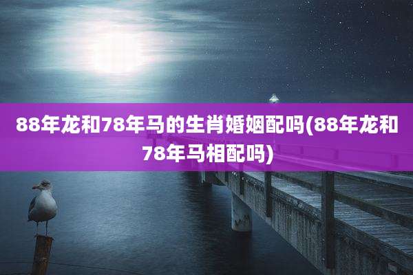 88年龙和78年马的生肖婚姻配吗(88年龙和78年马相配吗)