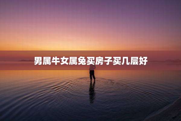 男属牛女属兔买房子买几层好