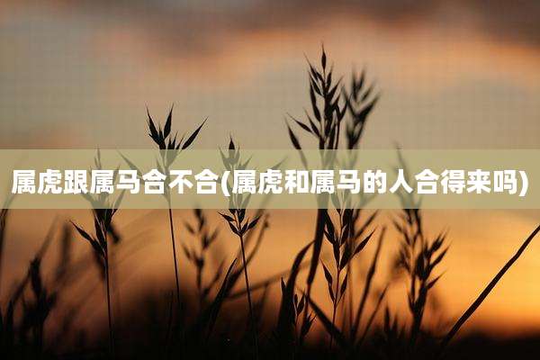 属虎跟属马合不合(属虎和属马的人合得来吗)