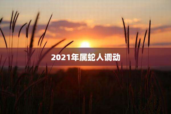 2021年属蛇人调动