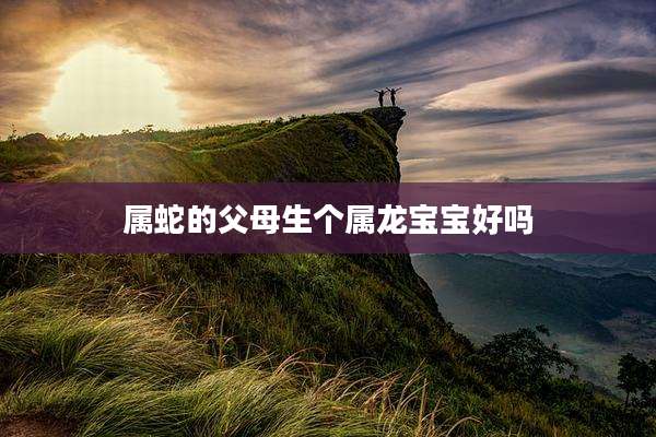 属蛇的父母生个属龙宝宝好吗