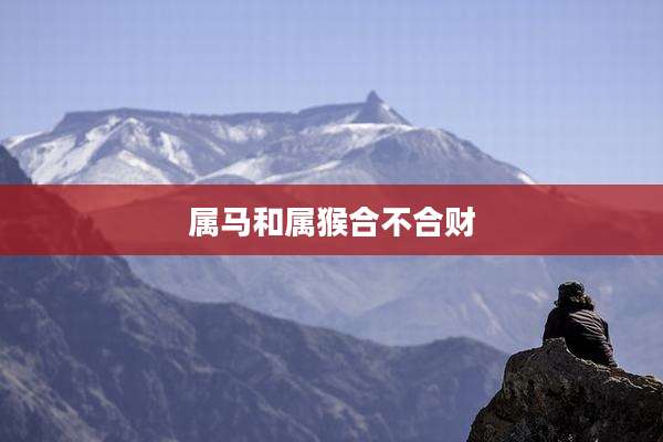 属马和属猴合不合财