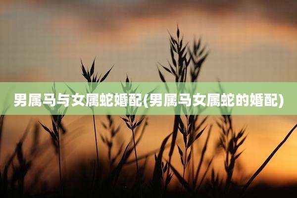 男属马与女属蛇婚配(男属马女属蛇的婚配)