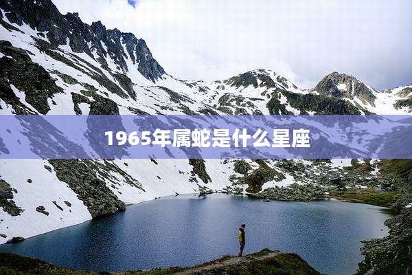 1965年属蛇是什么星座
