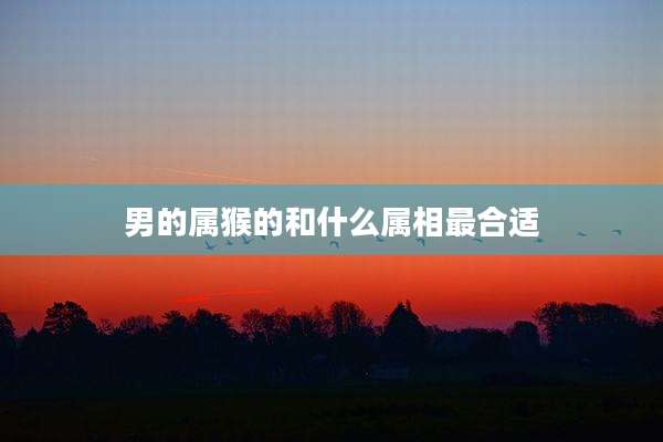 男的属猴的和什么属相最合适