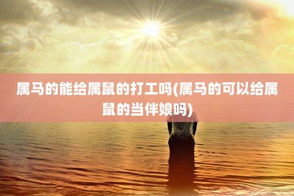 属马的能给属鼠的打工吗(属马的可以给属鼠的当伴娘吗)