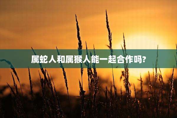 属蛇人和属猴人能一起合作吗?