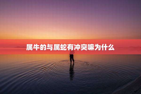 属牛的与属蛇有冲突嘛为什么
