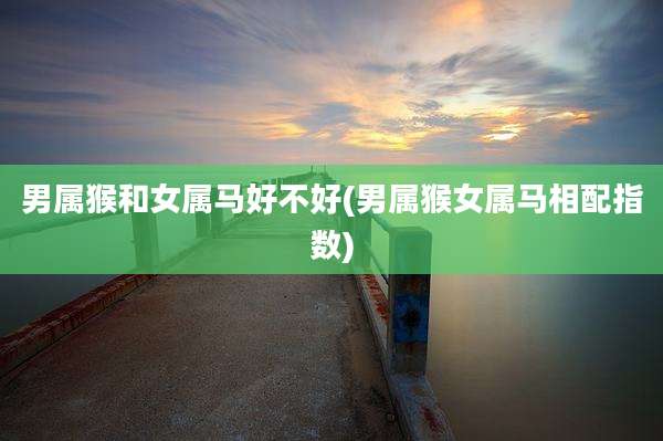 男属猴和女属马好不好(男属猴女属马相配指数)