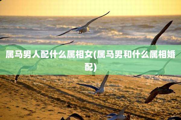 属马男人配什么属相女(属马男和什么属相婚配)