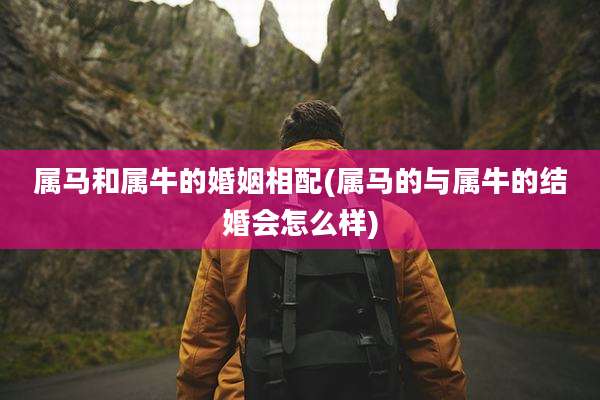 属马和属牛的婚姻相配(属马的与属牛的结婚会怎么样)