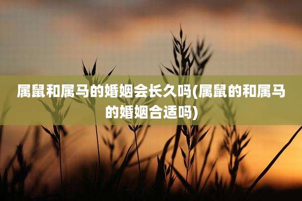 属鼠和属马的婚姻会长久吗(属鼠的和属马的婚姻合适吗)