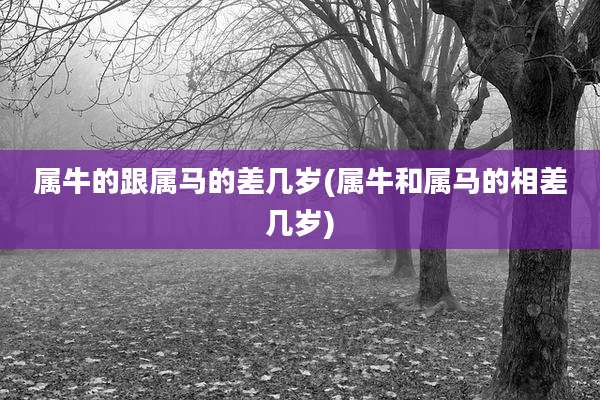 属牛的跟属马的差几岁(属牛和属马的相差几岁)