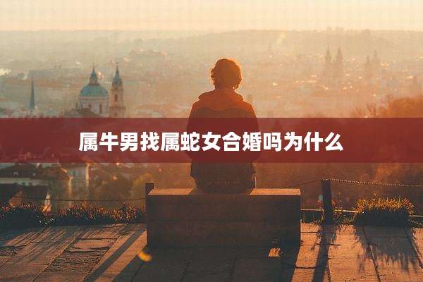 属牛男找属蛇女合婚吗为什么