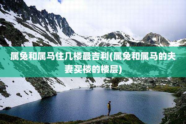 属兔和属马住几楼最吉利(属兔和属马的夫妻买楼的楼层)