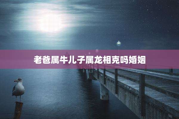 老爸属牛儿子属龙相克吗婚姻