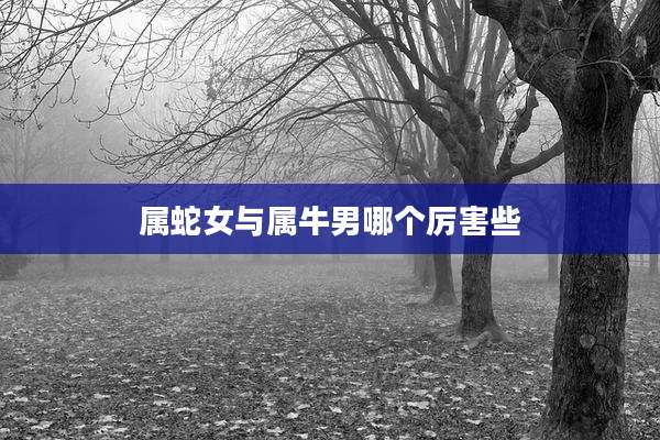 属蛇女与属牛男哪个厉害些