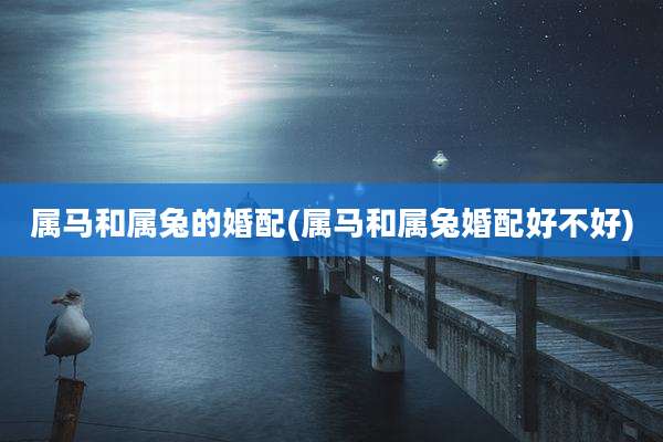 属马和属兔的婚配(属马和属兔婚配好不好)