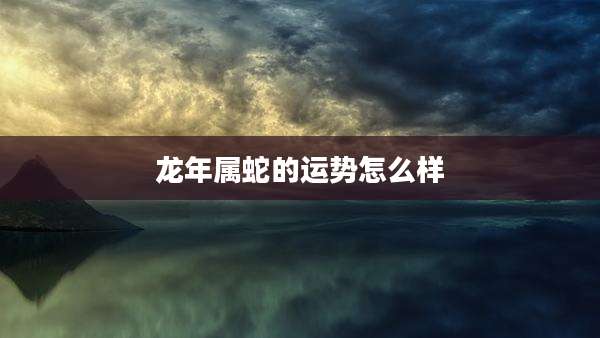 龙年属蛇的运势怎么样