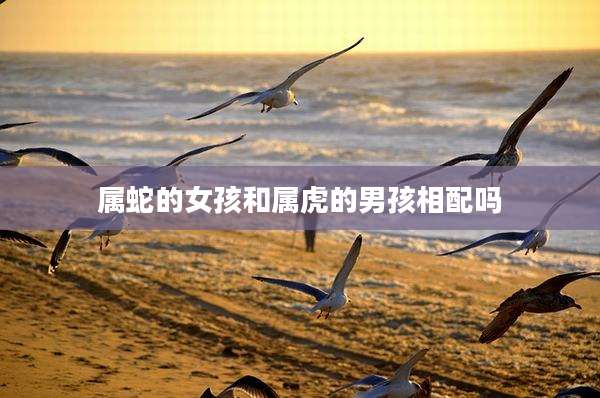 属蛇的女孩和属虎的男孩相配吗
