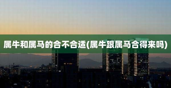 属牛和属马的合不合适(属牛跟属马合得来吗)