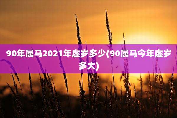 90年属马2021年虚岁多少(90属马今年虚岁多大)