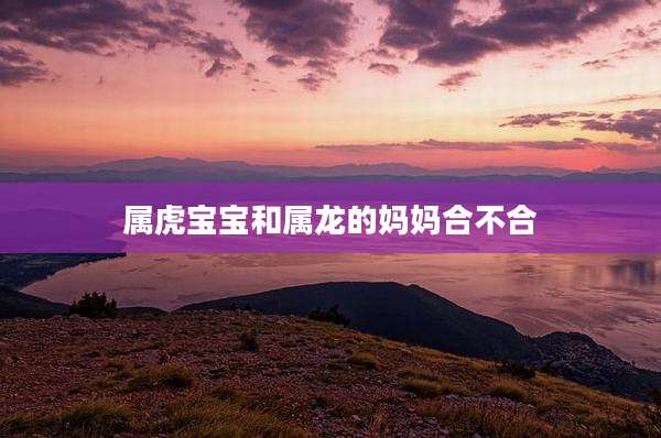 属虎宝宝和属龙的妈妈合不合