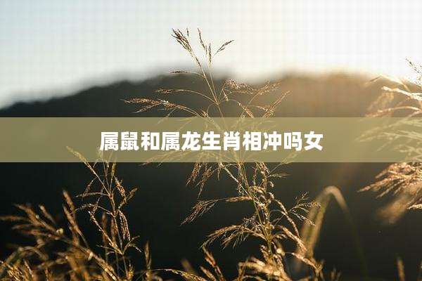 属鼠和属龙生肖相冲吗女