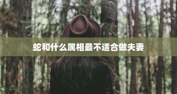 蛇和什么属相最不适合做夫妻