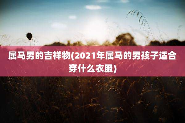 属马男的吉祥物(2021年属马的男孩子适合穿什么衣服)