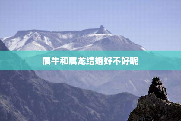 属牛和属龙结婚好不好呢