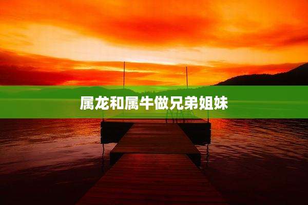 属龙和属牛做兄弟姐妹