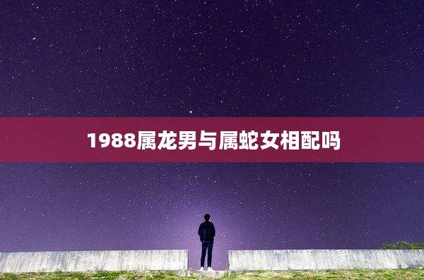1988属龙男与属蛇女相配吗