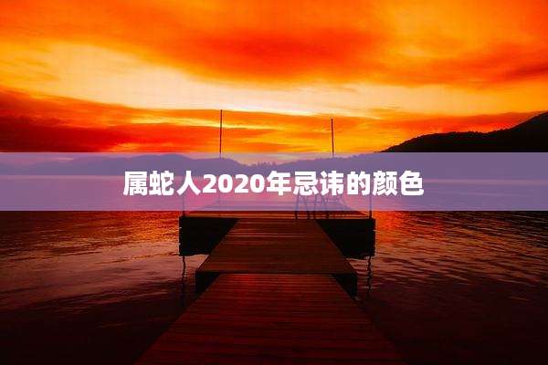 属蛇人2020年忌讳的颜色