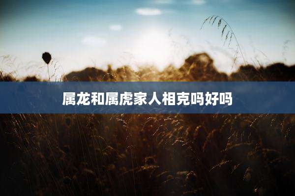 属龙和属虎家人相克吗好吗