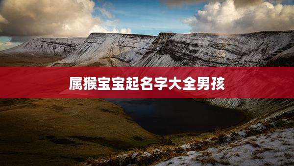 属猴宝宝起名字大全男孩