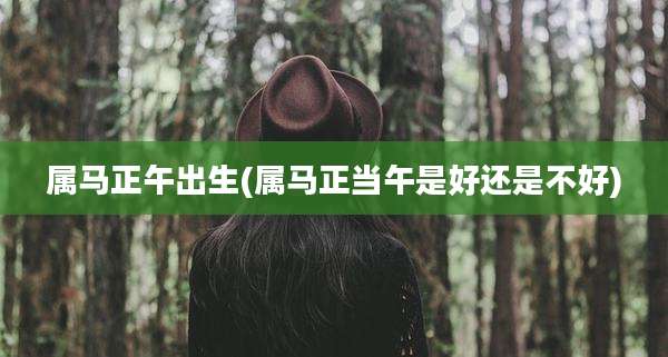 属马正午出生(属马正当午是好还是不好)