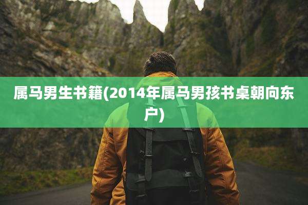 属马男生书籍(2014年属马男孩书桌朝向东户)