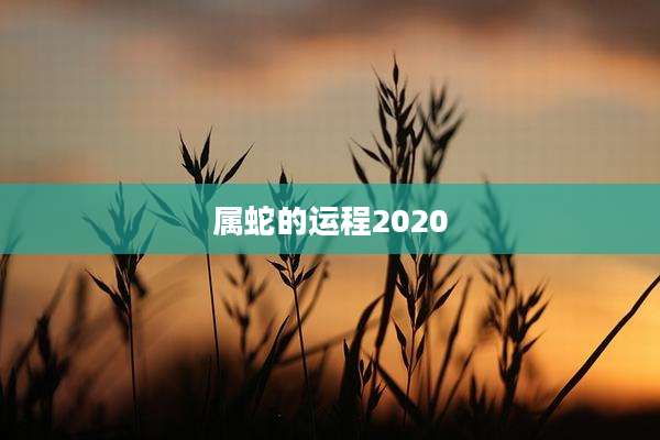 属蛇的运程2020