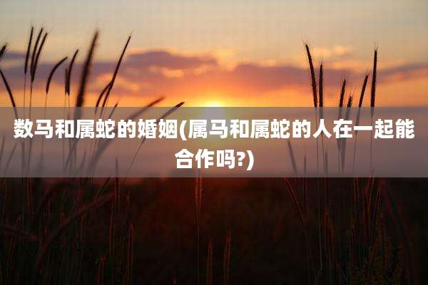 数马和属蛇的婚姻(属马和属蛇的人在一起能合作吗?)